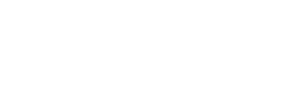 SINNEAGE